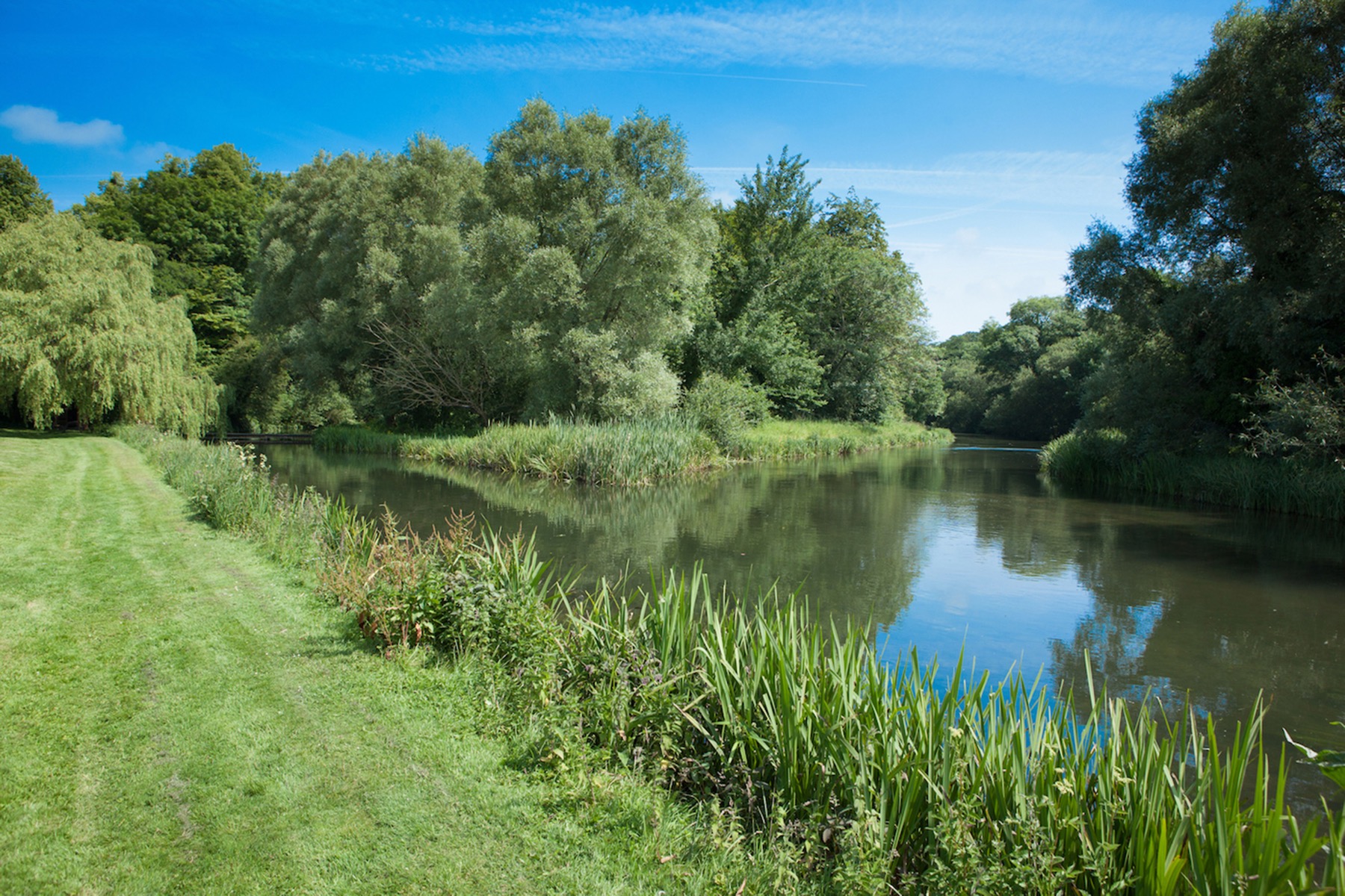 The landscape of Bossington Estate