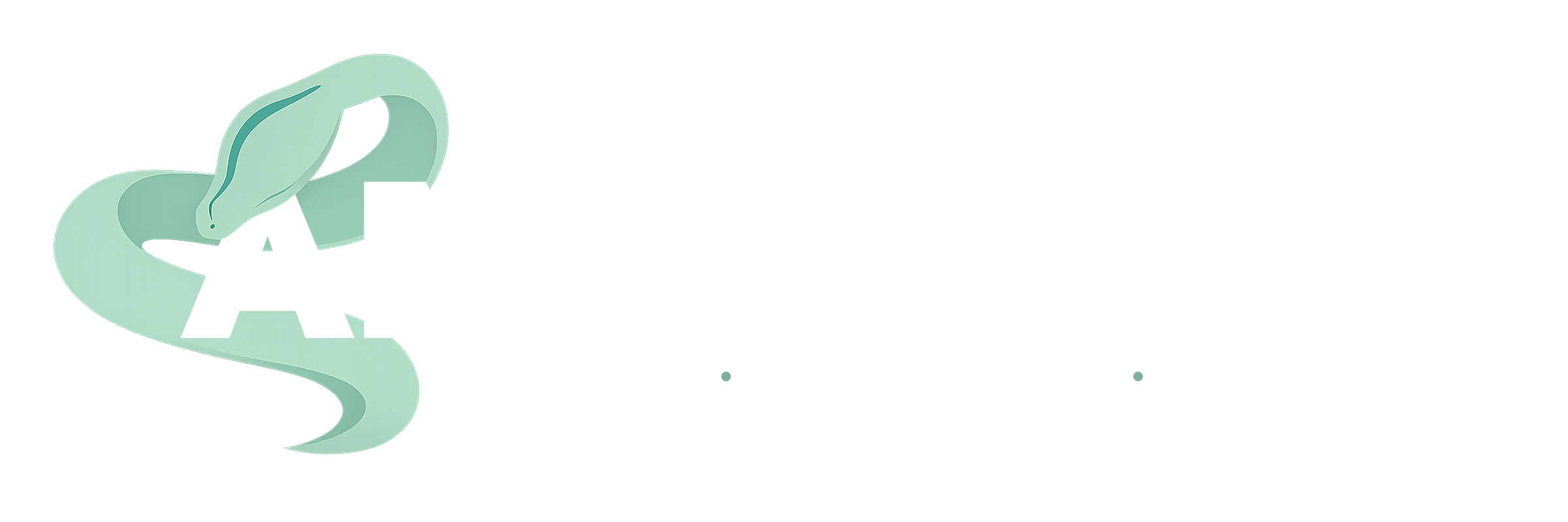 Anaconda — Social media, digital marketing, entertainment
